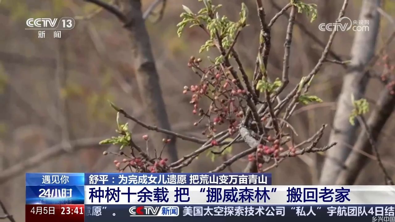 为完成女儿遗愿 她把荒山变万亩青山(图3)