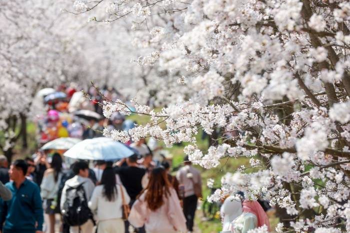 “一季花”如何成“四季春”？——对话多元化乡村消费新场景(图1)