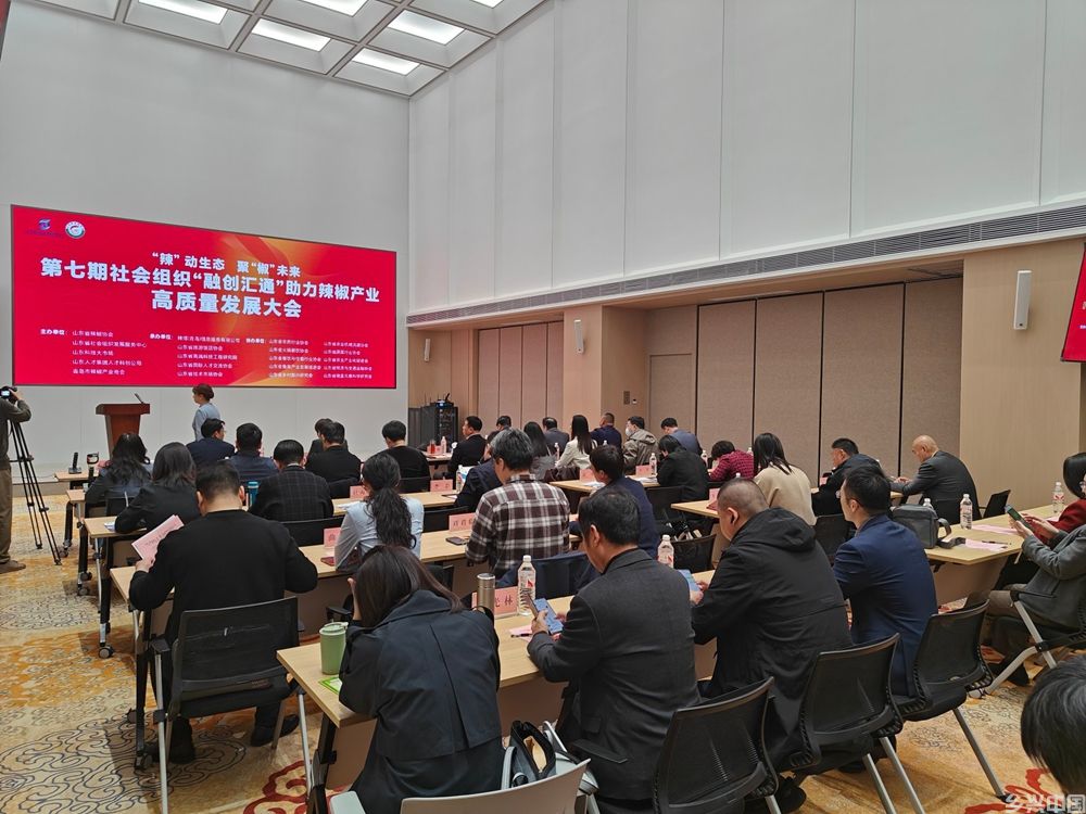 IMG20250403094146-opq3553910189_副本.jpg