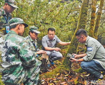 猫儿山里 科技守护添活力(图2)