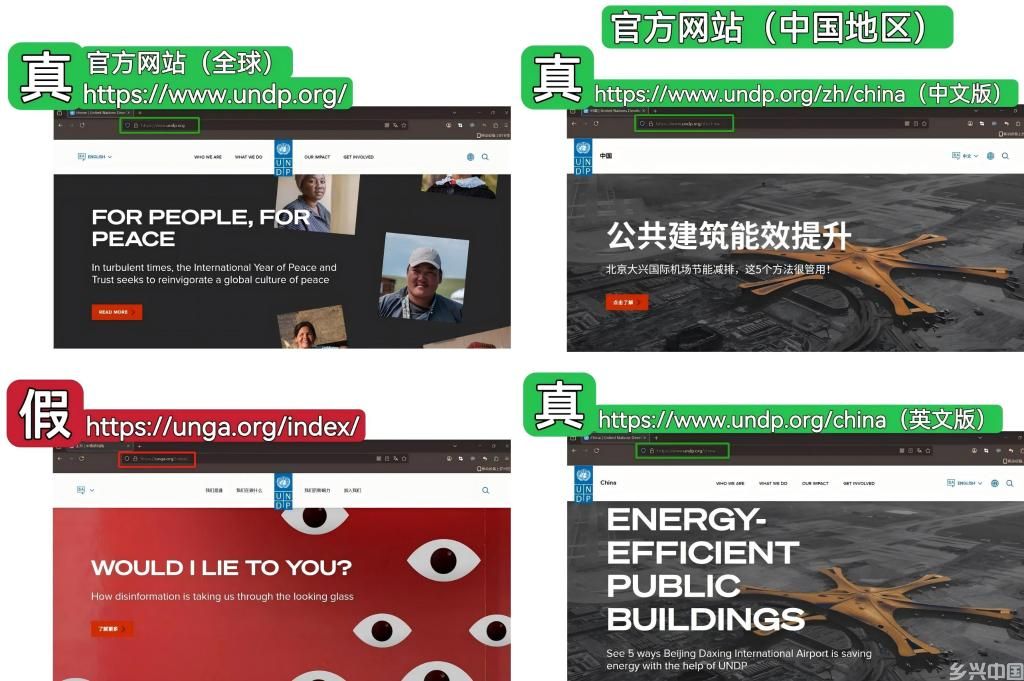 “国际机构”的证书花钱就能买？——揭秘假证产业链(图1)
