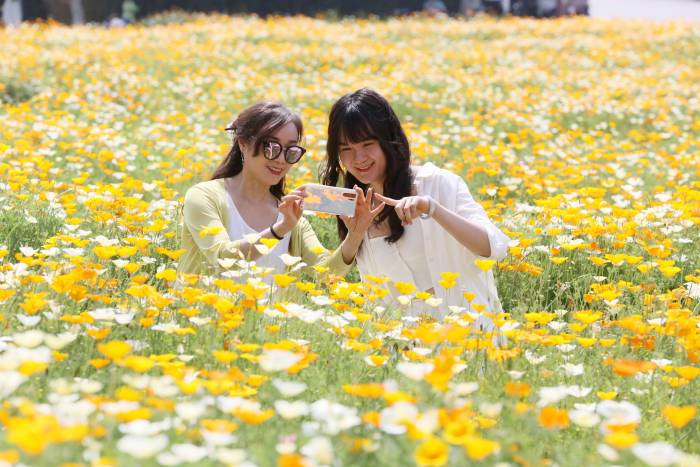 四川乐山：踏青赏花 乐享春日(图2)