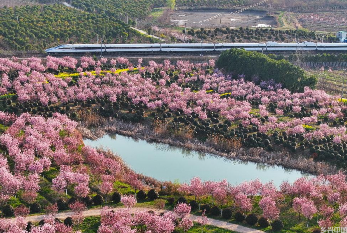 “奔县游”走红，能否成为县域经济新风口(图3)