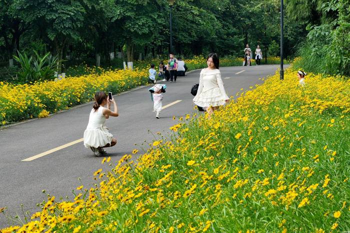 四川纳溪：“五一”游花海(图3)