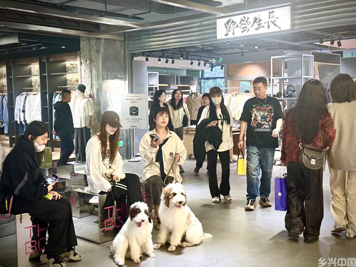不按套路出牌 撬动商业新模式(图4)