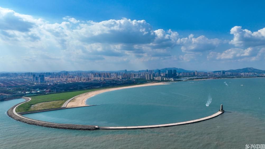 在日照港，感受“港强、产旺、城绿”的发展脉动(图2)