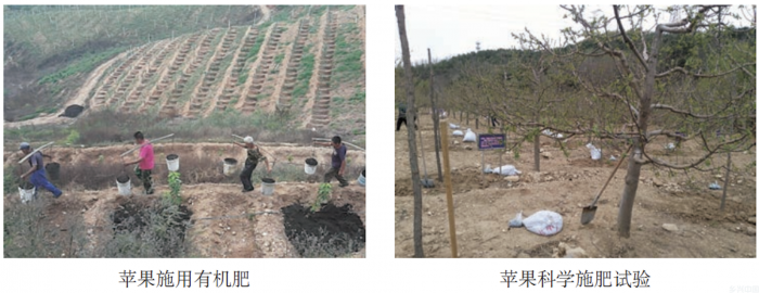 水肥一体化提单产 | 低山丘陵苹果水肥一体化技术模式(图1)
