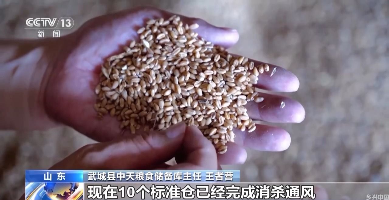 提供烘干服务、改造除尘系统……多地优化收购服务保障售粮顺畅(图7)