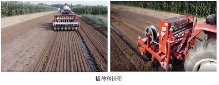 华北黄淮冬小麦微喷灌水肥一体化技术模式(图1)