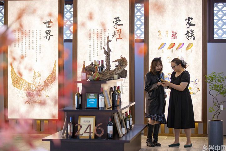 聚人气 拓市场 共奋进——“塞上江南”经济焕发新活力(图9)