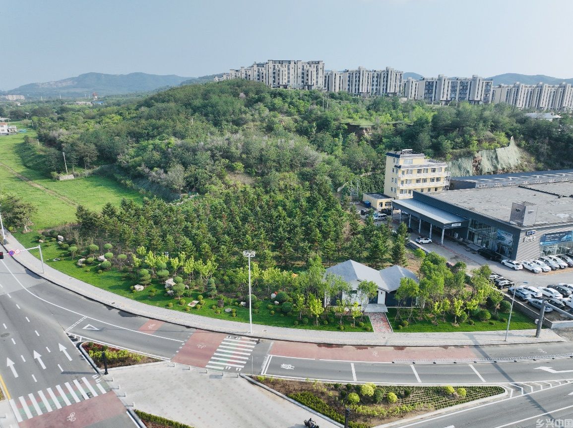 锦娘路西南角完成绿化景观提升改造。锦州市委宣传部供图