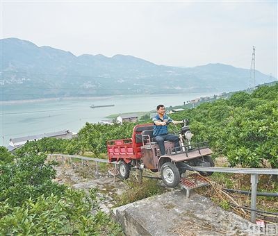 果园装轨道,上下山坡变轻松(图1)