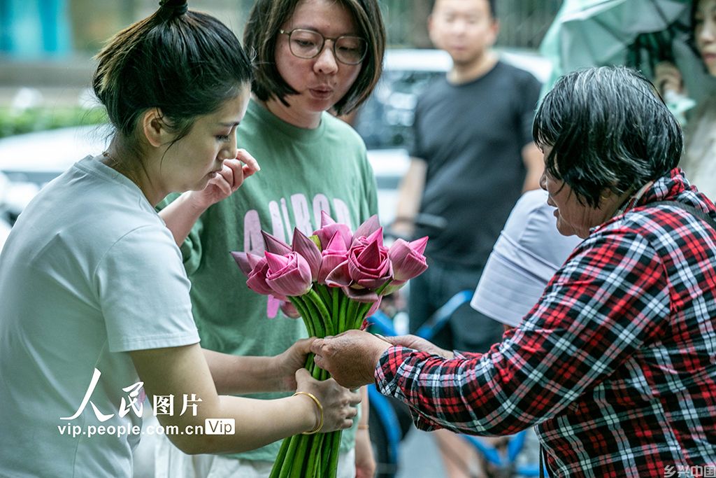 江苏苏州:荷花市集开市【3】