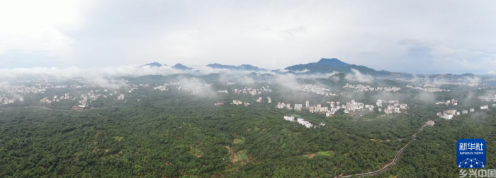 48小时“鲜”达 岭南荔枝香飘迪拜(图3)