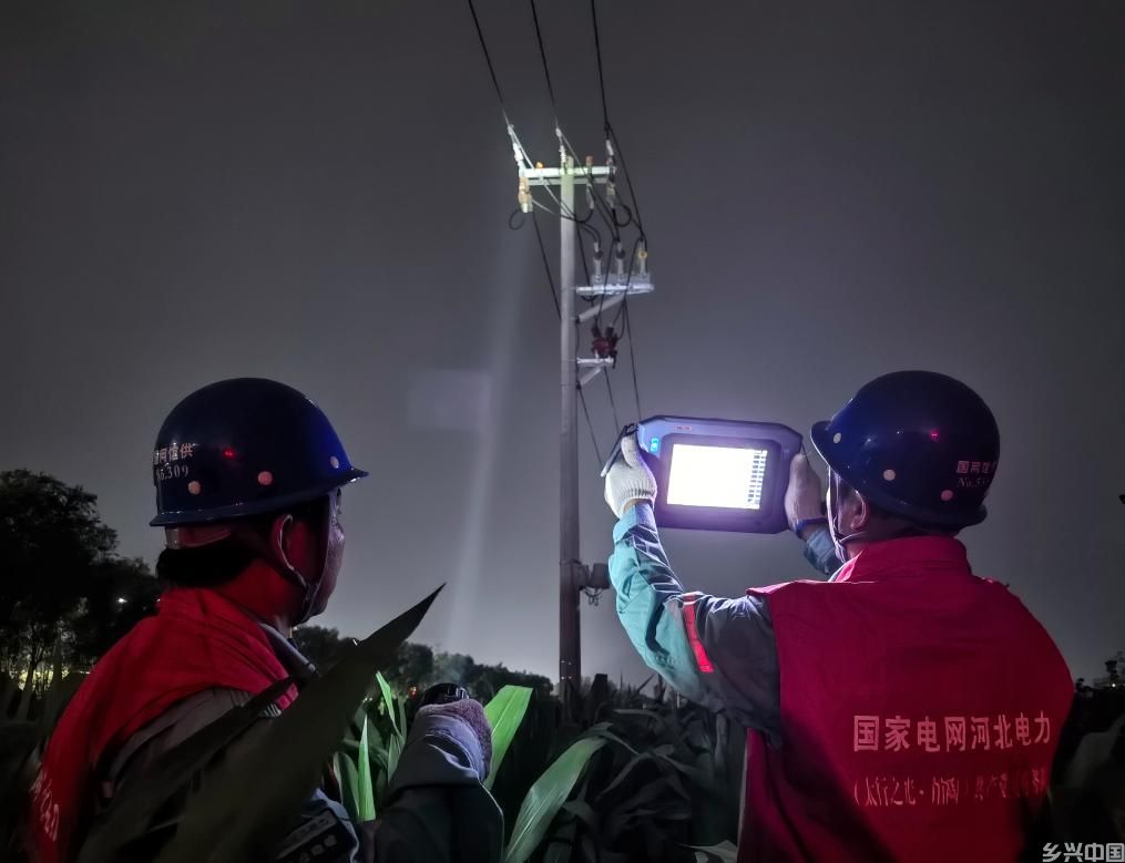 提单产、减损耗、“战”旱情——燕赵大地“三夏”生产一线观察(图3)