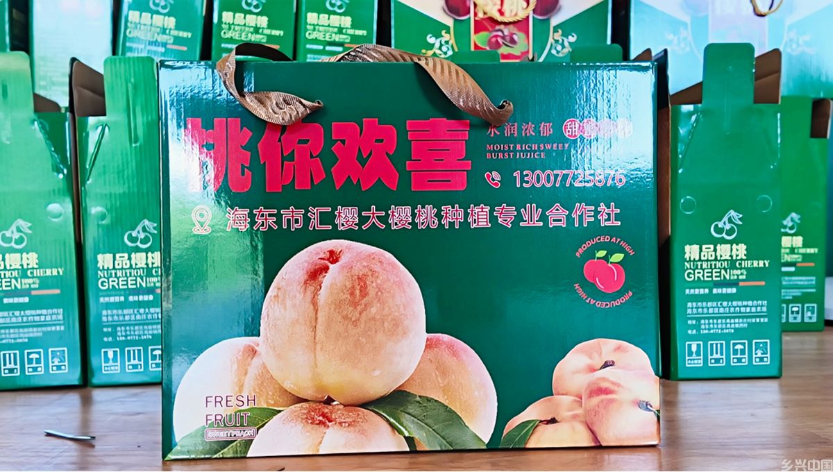 高原“桃中仙子”一口甜上心头 一路富了村头(图3)