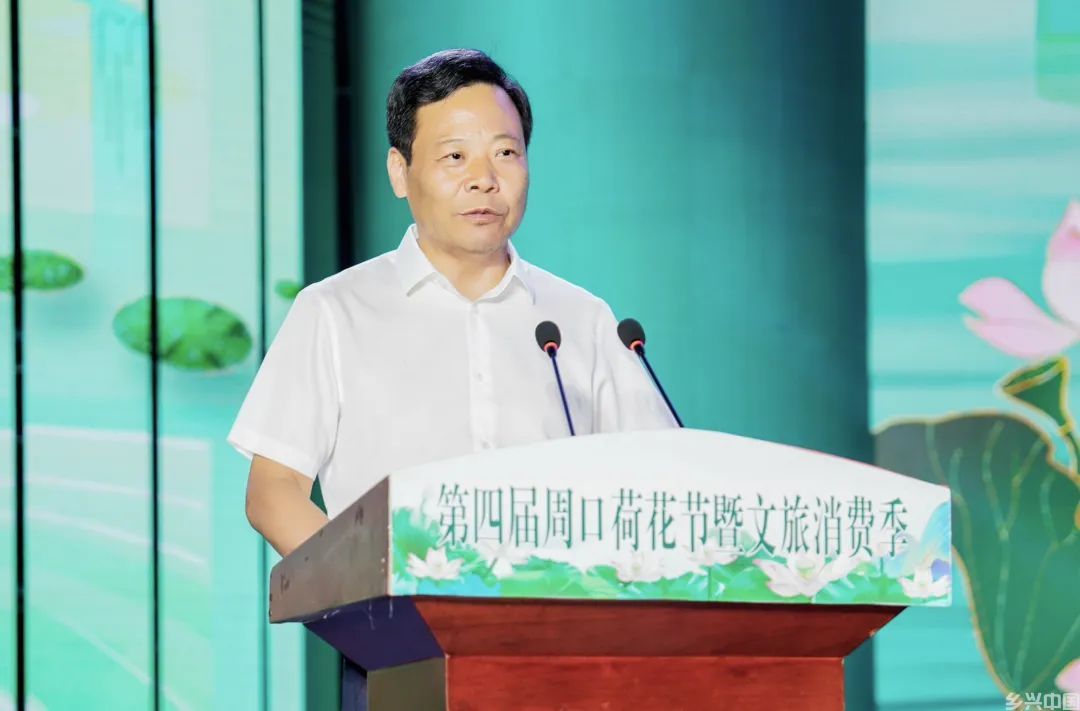 打造“荷美经济”产业链，来周口解锁夏日“荷颜悦色”！(图4)