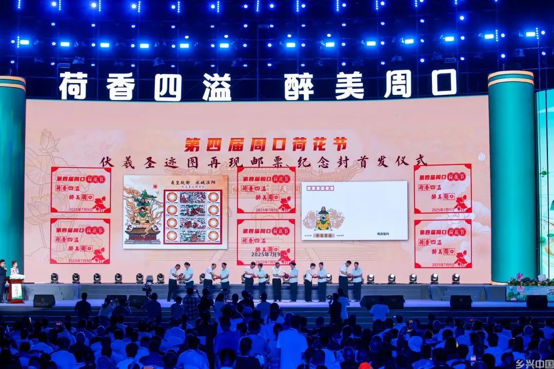 打造“荷美经济”产业链，来周口解锁夏日“荷颜悦色”！(图6)
