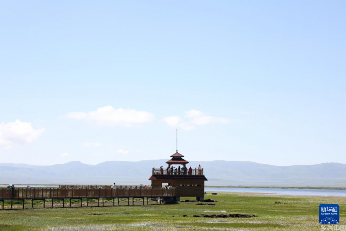 高原湿地 人鸥同乐(图3)