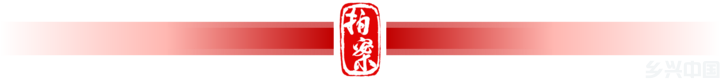 花钱就能“代办学位证”“低分进名校”？骗子在向你招手了！(图3)