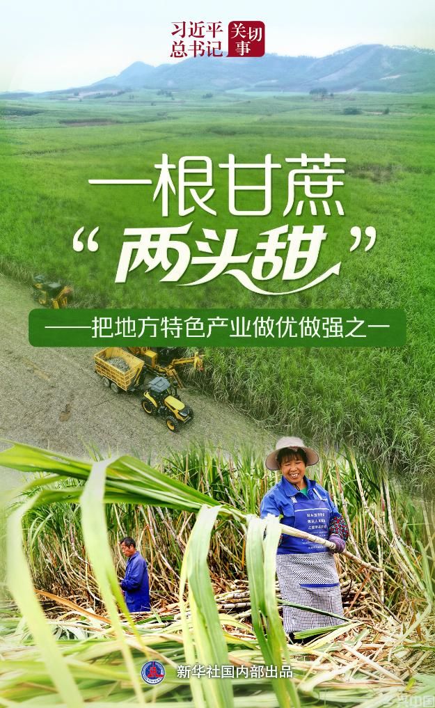 一根甘蔗“两头甜”——把地方特色产业做优做强之一(图1)