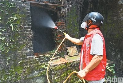 基孔肯雅热，怎么防如何治？(图1)