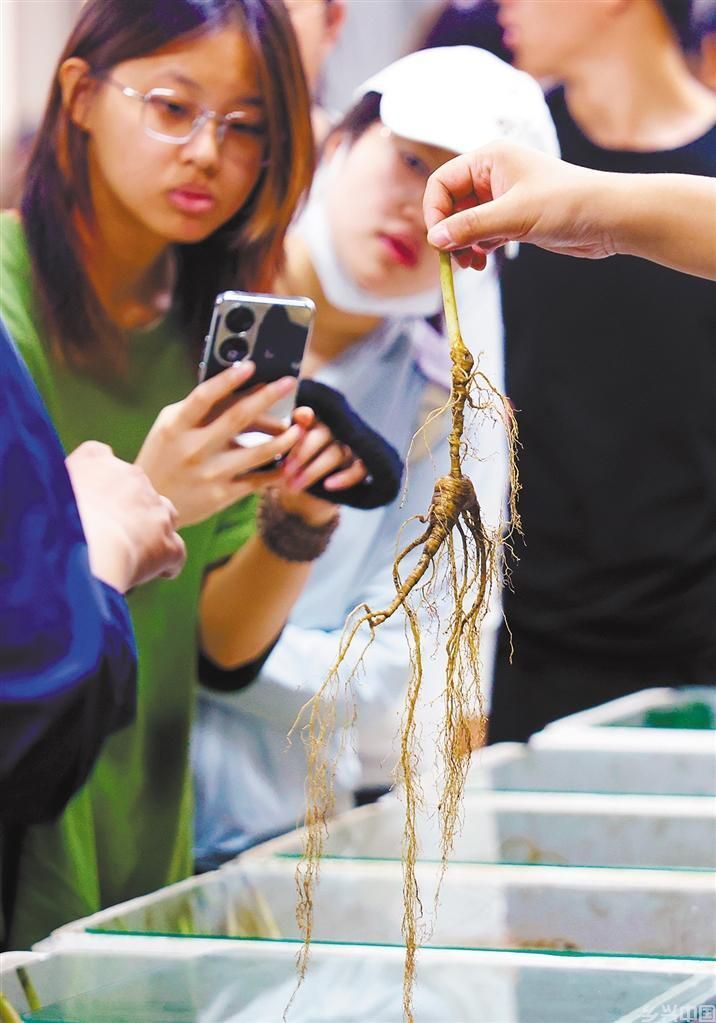 吉林新貌(图6)