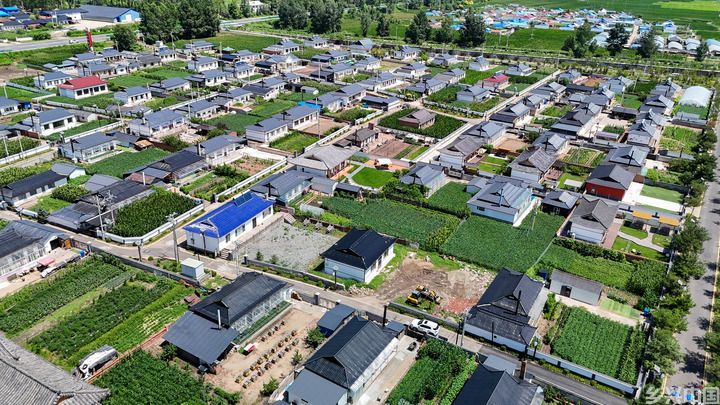 有绿、有技、有特色——在“活力中国调研行”中感受乡村振兴新活力(图5)