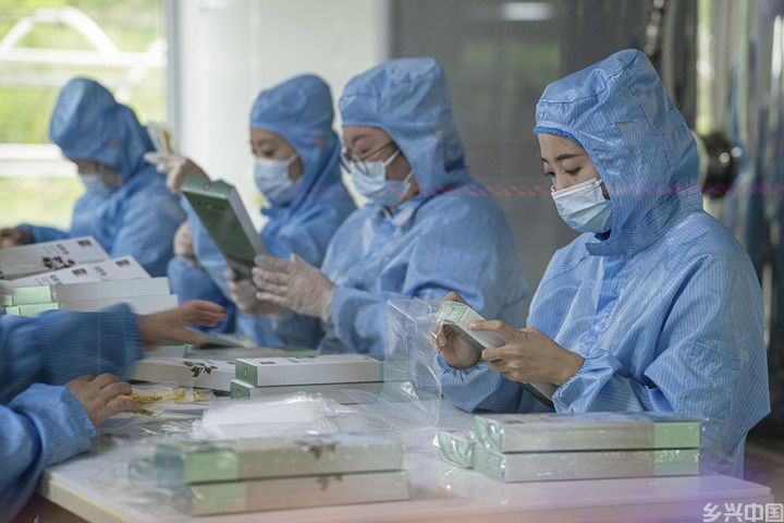 有绿、有技、有特色——在“活力中国调研行”中感受乡村振兴新活力(图10)