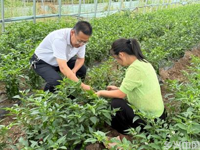 暴雨突袭内蒙古 农科力量驰援保生产(图2)