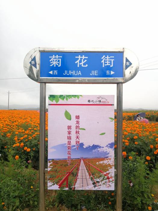 乡村何以“著名”？(图1)