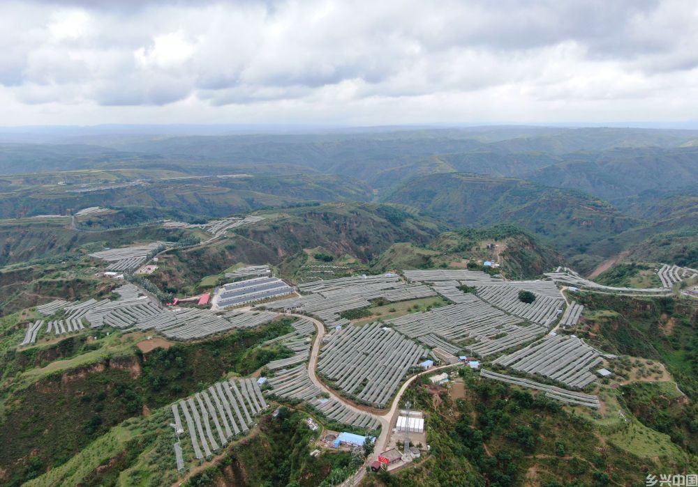 “两山”理念改变中国引领时代(图4)