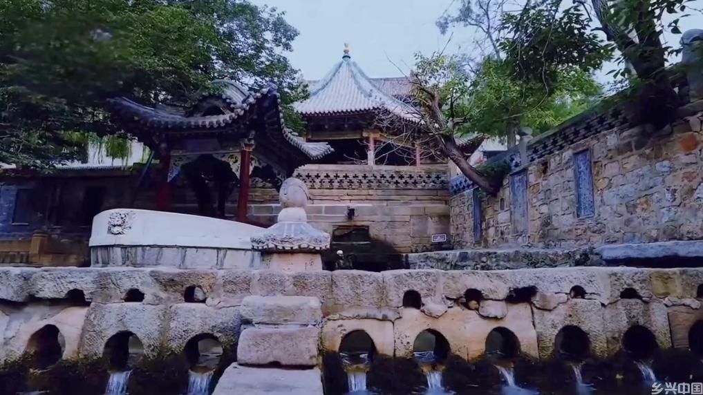 从治理到共赢：生态修复绘就绿色发展画卷(图4)