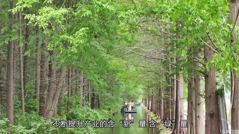从治理到共赢：生态修复绘就绿色发展画卷(图9)