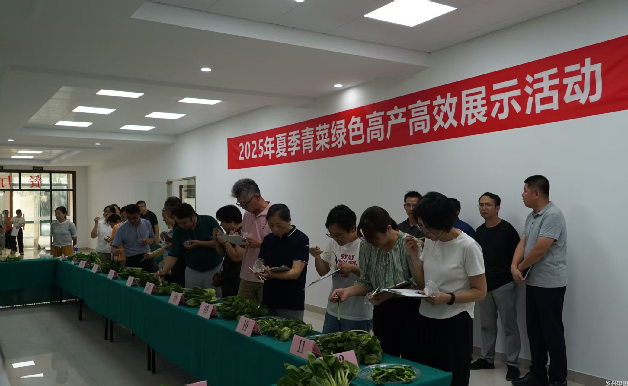 以“优供”强“保供”正当时——农业科技助力上海地产蔬菜高质量发展小记(图2)