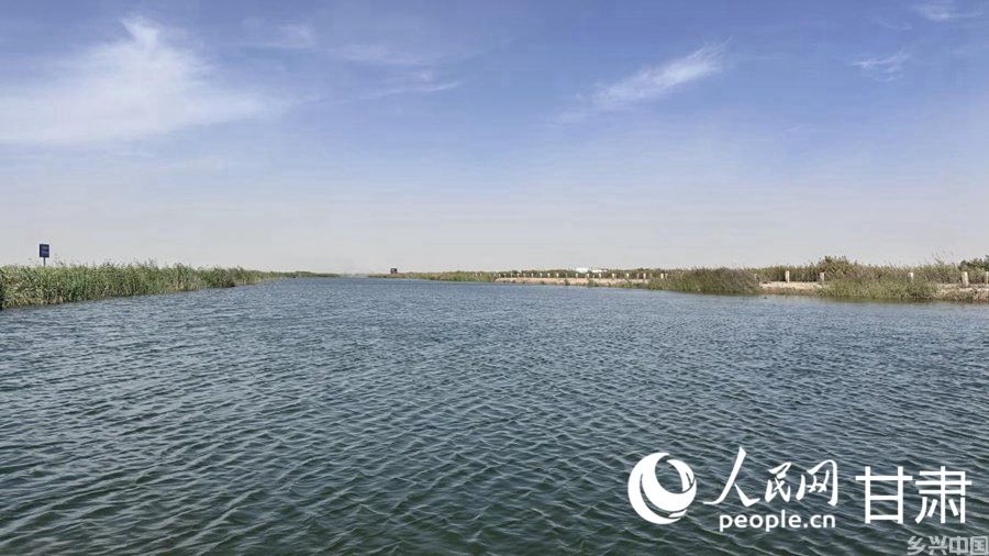 青土湖水域广阔。人民网记者 王绍绍摄