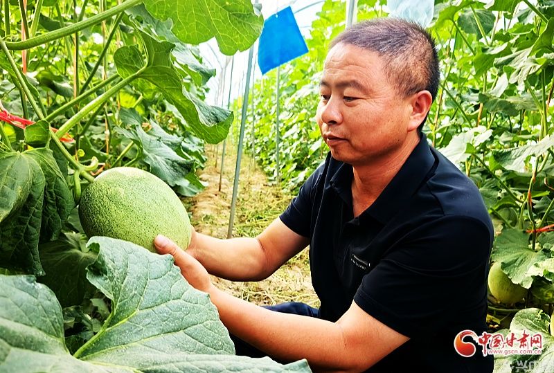 从“河西粮仓”到多元农业：高台书写特色发展“致富经”(图4)