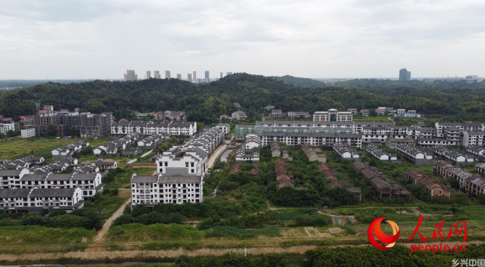 益阳市江南古城杂草丛生。人民网记者 游天燚摄