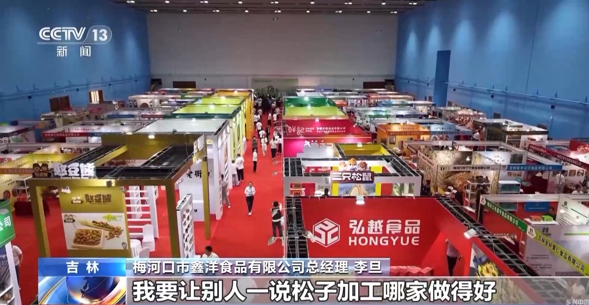 全球松子产业之都！东北小城梅河口藏不住了(图16)