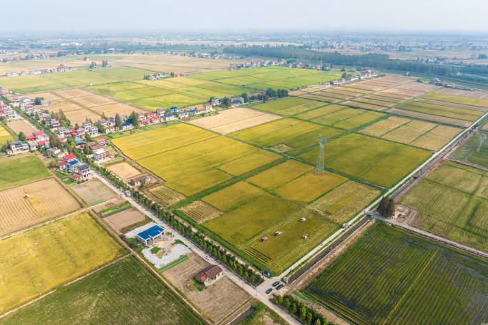1760509619152907.jpg
