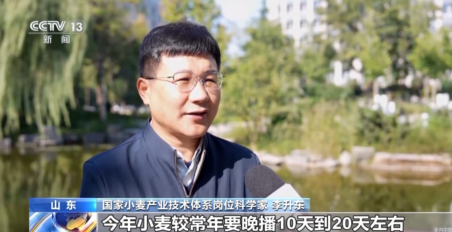 小麦播种“慢半拍”?做好这几点为来年丰收打基础(图1)