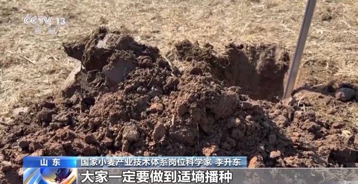 小麦播种“慢半拍”?做好这几点为来年丰收打基础(图4)