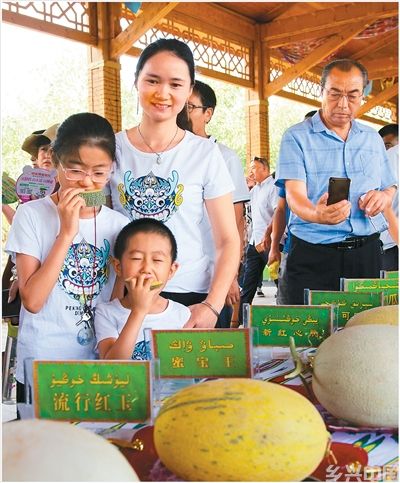“甜蜜引擎”激活乡村活力(图7)