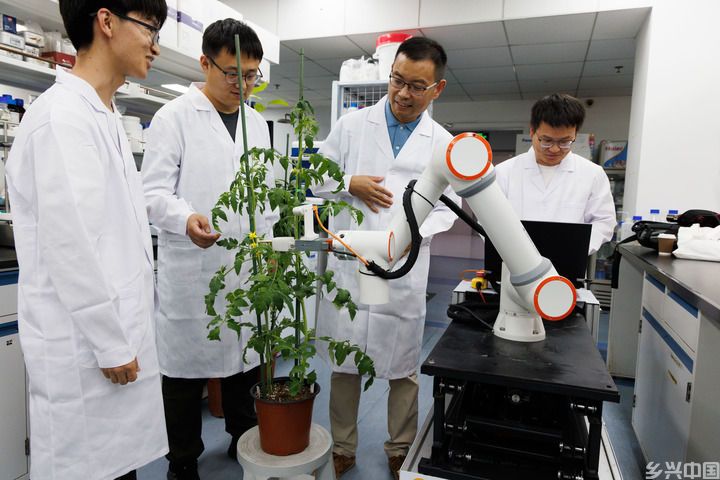 用更多好种子守护美好生活——种业振兴行动五年间(图6)