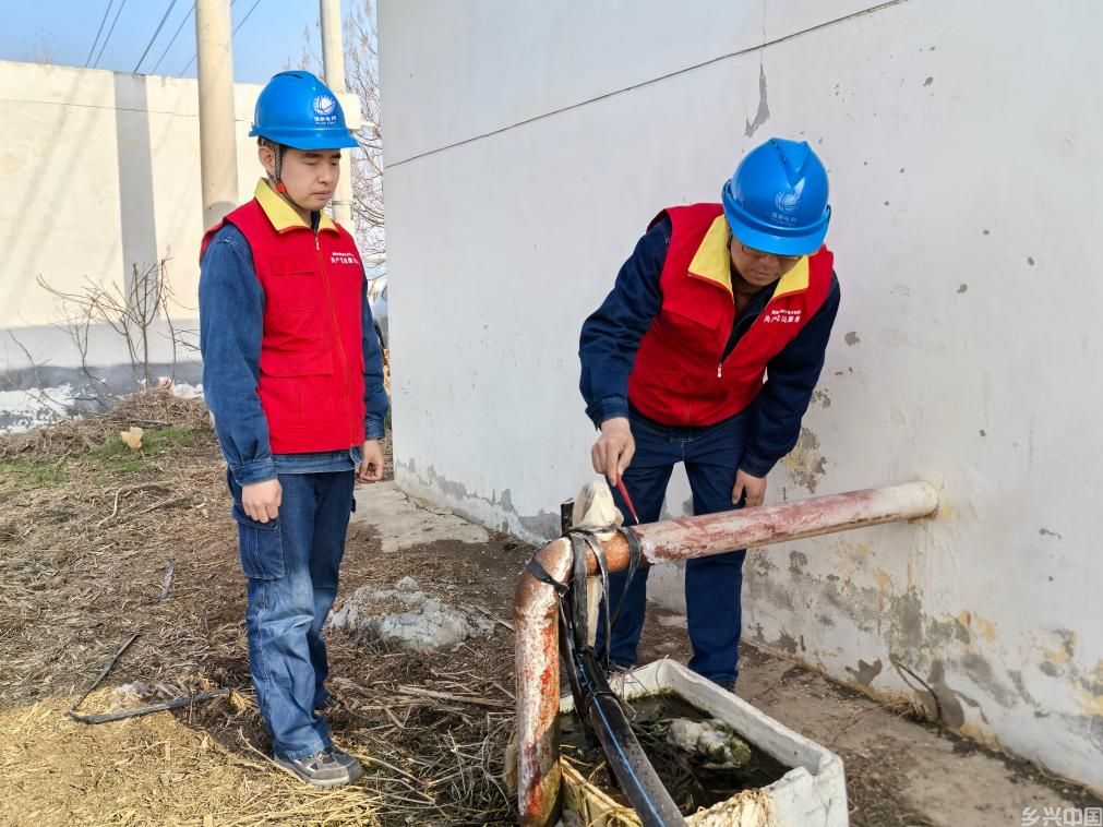 今冬不放松，来年“丰”可期——多地冬种及田间管护见闻(图2)