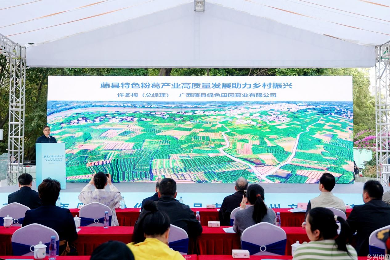 桂品飘香大湾区！2025粤桂协作农产品 产销对接活动在穗圆满举办(图2)