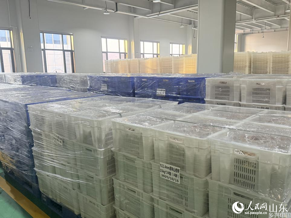 山东亿佳食品有限公司仓储车间。 人民网 李子悦摄