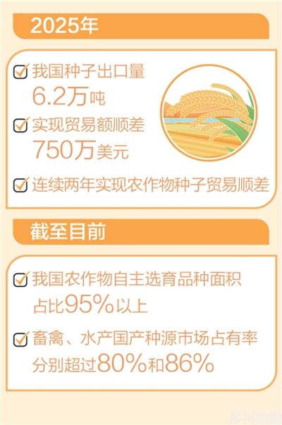 “中国粮”主要用上了“中国种”(图1)