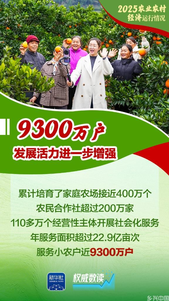 增产、增收、增强!2025农业农村经济运行“成绩单”来了!(图9)