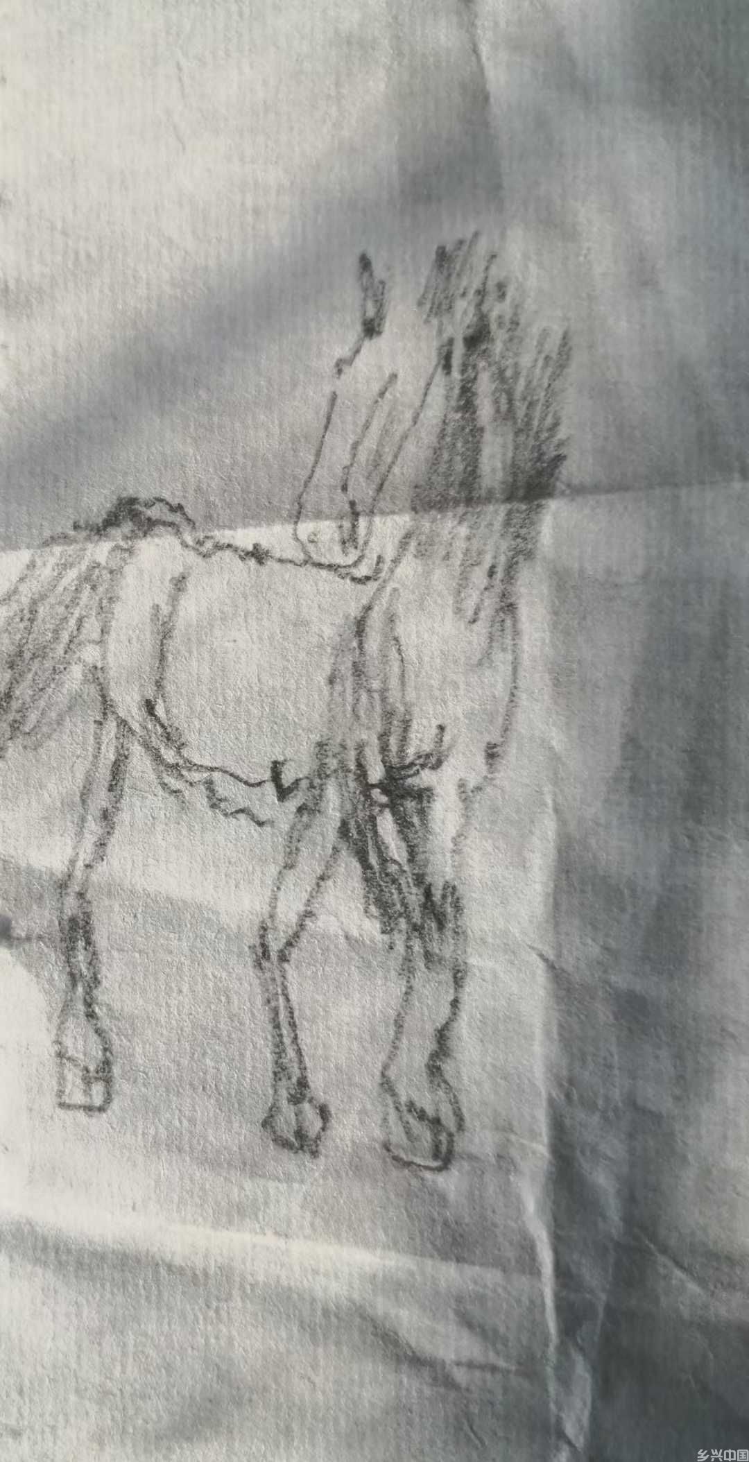 微信图片_2026-02-12_091828_467.jpg